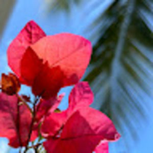 Meet your Posher, Margaret